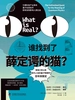 谁找到了薛定谔的猫？