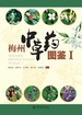 梅州中草药图鉴.Ⅰ