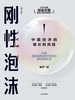 刚性泡沫（增订版）：中国经济的增长和风险