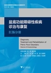 盆底功能障碍性疾病诊治与康复：肛肠分册