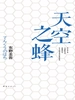 天空之蜂（1995）