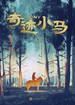 奇迹小马