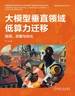 大模型垂直领域低算力迁移：微调、部署与优化