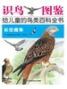 长空鹰隼（识鸟图鉴.给儿童的鸟百科全书）