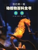 我的第一套动植物百科全书.4，鱼类