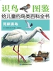 河岸滨鸟（识鸟图鉴.给儿童的鸟百科全书）