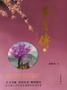芈月传 3：未见君子