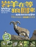 岩羊在等狼回来：走进自然保护区寻珍