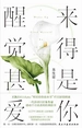 醒来甚是爱你