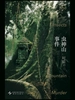 虫神山事件