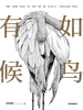 有如候鸟