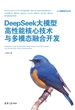 DeepSeek大模型高性能核心技术与多模态融合开发