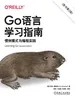 Go语言学习指南：惯例模式与编程实践（原书第2版）