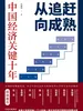 从追赶向成熟：中国经济关键十年