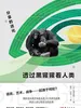 透过黑猩猩看人类：分享的进化