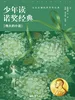 少年读诺奖经典：伟大的小说