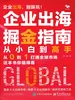 企业出海掘金指南：从小白到高手