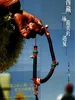 西藏，一场最美的遇见