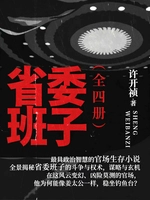 省委班子(全四册)