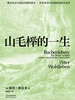 山毛榉的一生