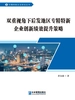 双重视角下后发地区专精特新企业创新绩效提升策略