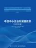 中国中小企业发展蓝皮书(2025年度)