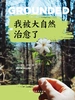 我被大自然治愈了